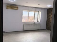 Sebastian, Kaufland, Salaj